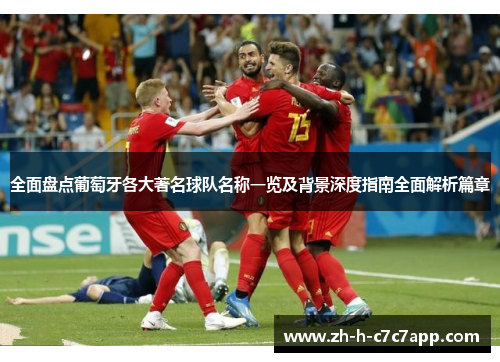 全面盘点葡萄牙各大著名球队名称一览及背景深度指南全面解析篇章